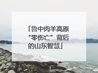 鲁中肉羊高原“零伤亡”背后的山东智慧