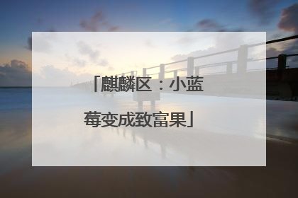 麒麟区：小蓝莓变成致富果