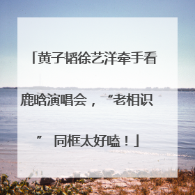 黄子韬徐艺洋牵手看鹿晗演唱会，“老相识” 同框太好嗑！