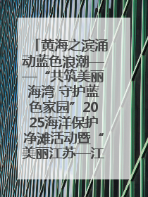 黄海之滨涌动蓝色浪潮——“共筑美丽海湾 守护蓝色家园”2025海洋保护净滩活动暨“美丽江苏—江河湖海青蓝行”海洋篇在连云港举行