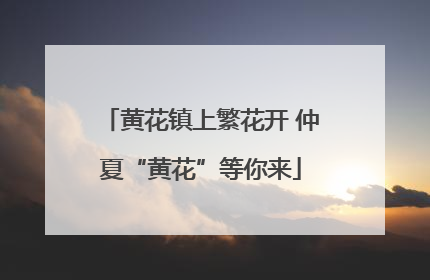 黄花镇上繁花开 仲夏“黄花”等你来