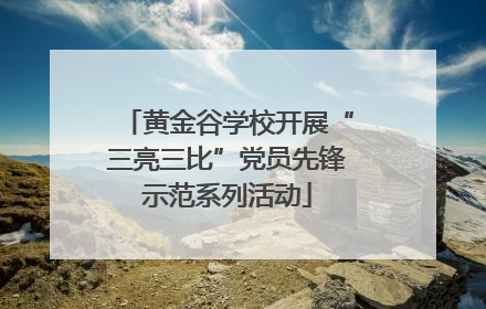 黄金谷学校开展“三亮三比”党员先锋示范系列活动