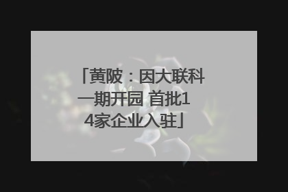 黄陂：因大联科一期开园 首批14家企业入驻