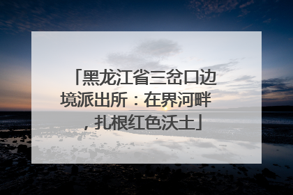 黑龙江省三岔口边境派出所：在界河畔，扎根红色沃土