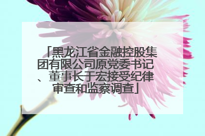 黑龙江省金融控股集团有限公司原党委书记、董事长于宏接受纪律审查和监察调查