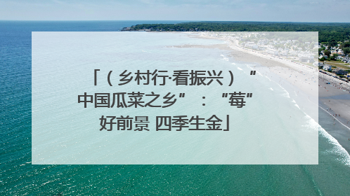 （乡村行·看振兴）“中国瓜菜之乡”：“莓”好前景 四季生金
