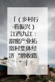 （乡村行·看振兴）江西九江：甜蜜产业拓宽村集体经济“增收路”