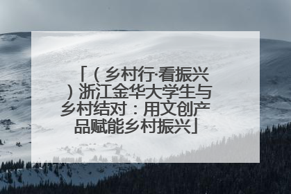 （乡村行·看振兴）浙江金华大学生与乡村结对：用文创产品赋能乡村振兴
