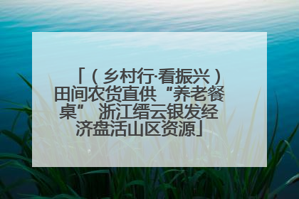 （乡村行·看振兴）田间农货直供“养老餐桌” 浙江缙云银发经济盘活山区资源