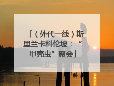 （外代一线）斯里兰卡科伦坡：“甲壳虫”聚会