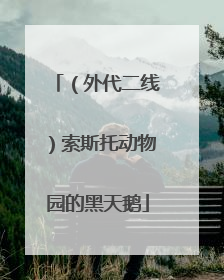 （外代二线）索斯托动物园的黑天鹅