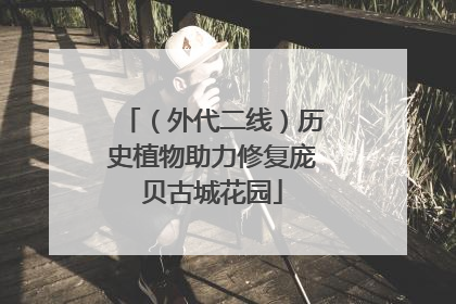 （外代二线）历史植物助力修复庞贝古城花园