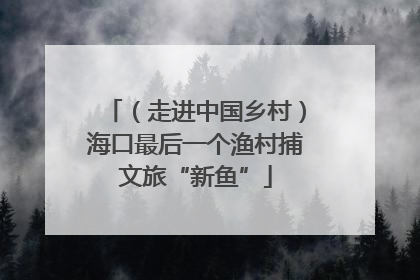 （走进中国乡村）海口最后一个渔村捕文旅“新鱼”