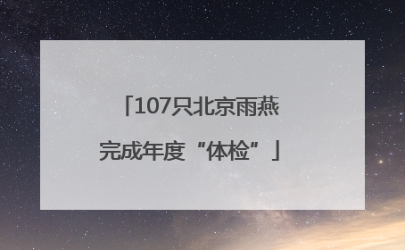 107只北京雨燕完成年度“体检”