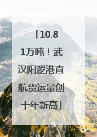 10.81万吨！武汉阳逻港直航货运量创十年新高