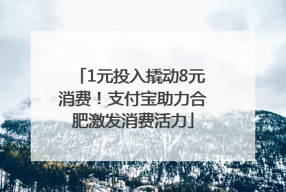 1元投入撬动8元消费！支付宝助力合肥激发消费活力