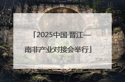 2025中国·晋江—南非产业对接会举行