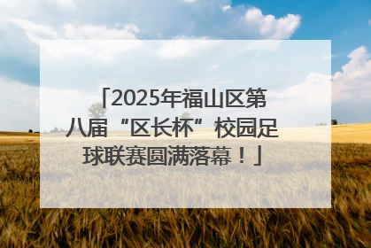 2025年福山区第八届“区长杯”校园足球联赛圆满落幕！