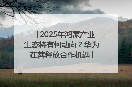 2025年鸿蒙产业生态将有何动向？华为在蓉释放合作机遇