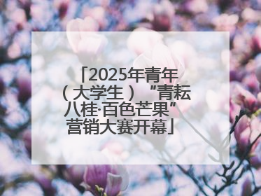 2025年青年（大学生）“青耘八桂·百色芒果”营销大赛开幕