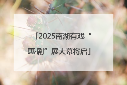 2025南湖有戏“惠·剧”展大幕将启