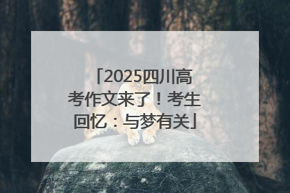 2025四川高考作文来了！考生回忆：与梦有关