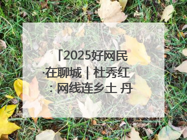2025好网民·在聊城｜杜秀红：网线连乡土 丹心映桑梓