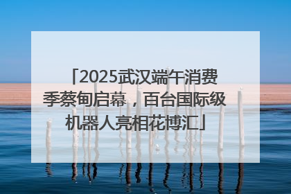 2025武汉端午消费季蔡甸启幕，百台国际级机器人亮相花博汇