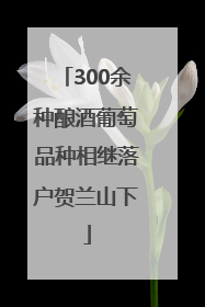 300余种酿酒葡萄品种相继落户贺兰山下