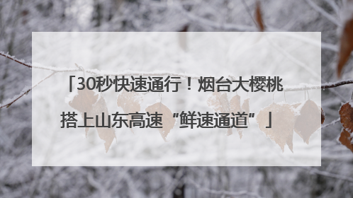 30秒快速通行！烟台大樱桃搭上山东高速“鲜速通道”