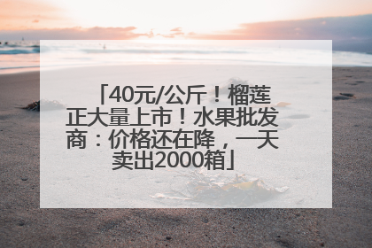 40元/公斤！榴莲正大量上市！水果批发商：价格还在降，一天卖出2000箱