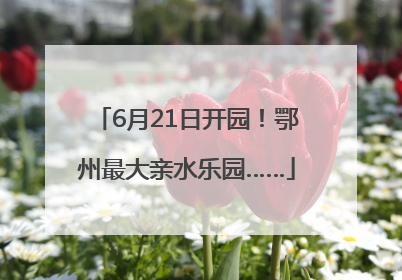 6月21日开园！鄂州最大亲水乐园……