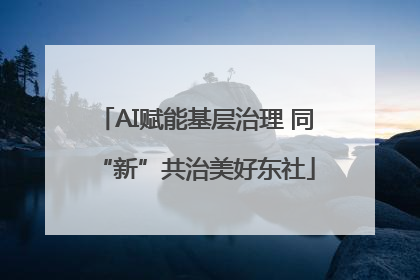 AI赋能基层治理 同“新”共治美好东社