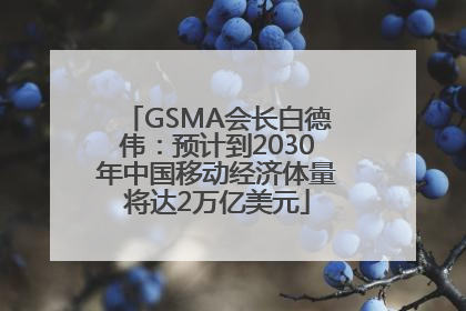 GSMA会长白德伟：预计到2030年中国移动经济体量将达2万亿美元