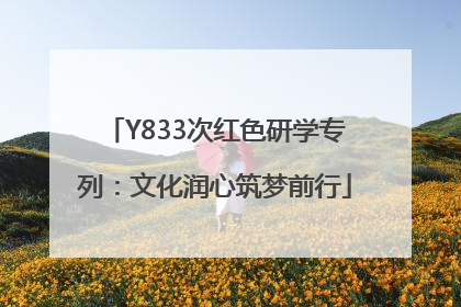 Y833次红色研学专列：文化润心筑梦前行